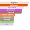 Deep Viola — изображение 2