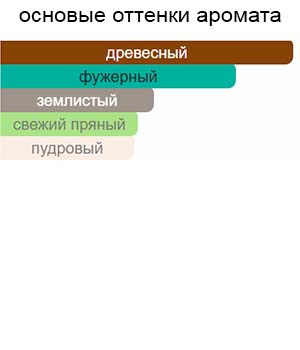 Vetiver Glacier — изображение 2