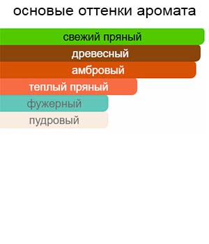 Amber Leather — изображение 2