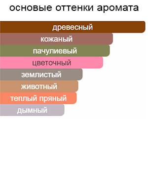 Barenia intense — изображение 2