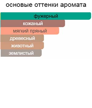 Scandal Intense Pour Homme — изображение 2