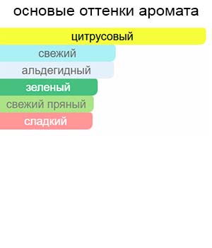 Fresh Vibe — изображение 2