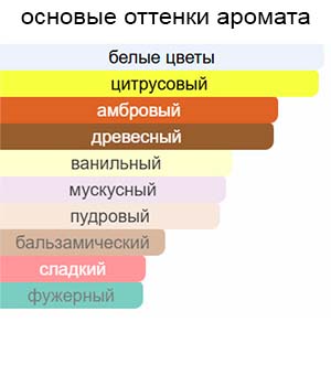 Obsession Night — изображение 2