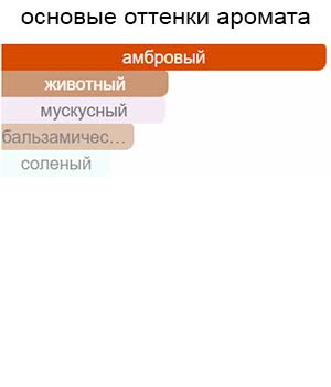 Pur Ambre — изображение 2