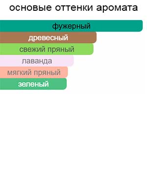 The Cut — изображение 2