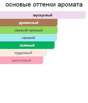 Bvlgari Pour Homme - Eau De Parfum — изображение 2