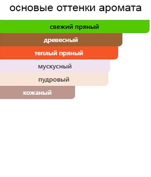 Echo — изображение 2