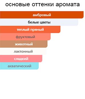 Fiamma — изображение 2