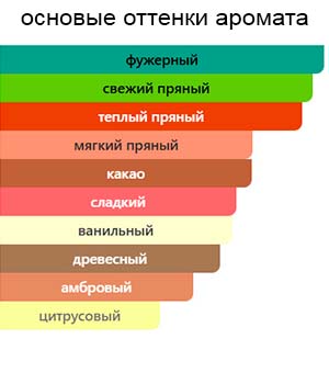 Bad Boy Gold Fantasy — изображение 2