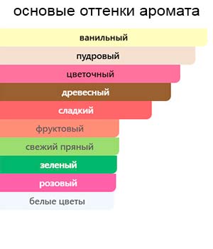 Fantasia — изображение 2