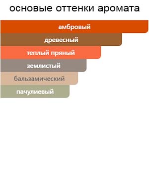 K Elixir by Dolce Gabbana — изображение 2