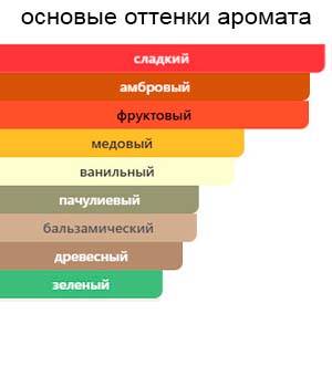 Perfect Elixir — изображение 2