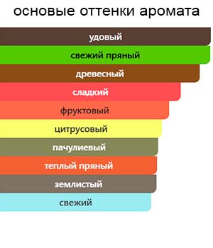Hacivat Oud — изображение 2