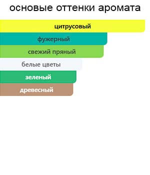 Zante — изображение 2